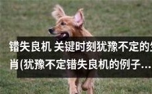 生肖们在关键时刻犹豫不定,因此错失了许多良机