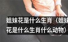 揭秘:姐妹花到底是哪个生肖哪种动物?