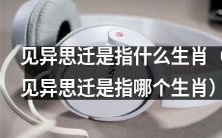 在中国的十二生肖中,哪个生肖被称为“见异思迁”的代表?