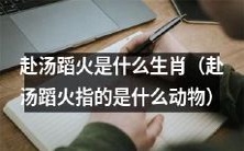 哪些生肖被称为“赴汤蹈火”动物?
