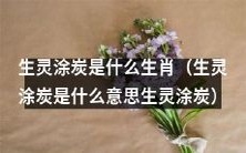 哪个生肖代表“生灵涂炭”的含义?