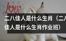 二八佳人是哪个生肖,需要帮助完成的作业班