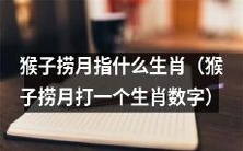 了解猴子捞月的含义及其与哪个生肖数字相关联