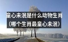哪个生肖最具有童心未泯的特质?让我们探寻童心未泯是什么动物生肖!