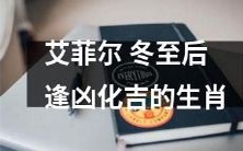 艾菲尔铁塔的神秘力量:揭秘冬至后逢凶化吉的生肖象征意义