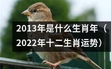 揭秘2022年十二生肖运势,探究2013年的属相是什么?
