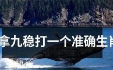 如何确定一个十分准确的中国生肖,保证十拿九稳成功?