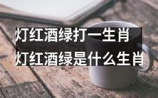 请问灯红酒绿是哪个生肖?多彩生肖世界中,灯红酒绿的神秘生肖身份揭秘!