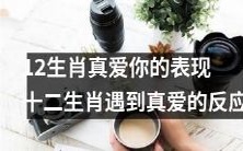 十二生肖如何表现真正的爱意:揭秘遇到真爱时的十二生肖反应