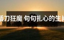 十二生肖之插刀狂魔:每一句话都深深戳中心灵