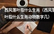探秘西风落叶与生肖动物的关联:究竟是哪个生肖动物被指代,数字又是几?