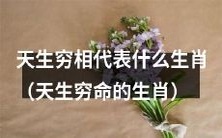 哪些生肖代表天生穷命?
