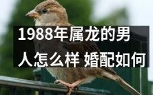 1988年出生的龙男人:适合什么样的婚配?如何选择更好的婚姻伴侣?