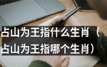 占据山峰主导地位的生肖是什么?