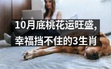 10月底桃花运爆发,三个幸福无法挡住的生肖