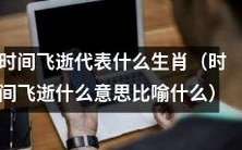 哪个生肖象征时间飞逝?