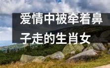 十二生肖女中,情感中常受牵制而难自主的那一位