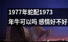 1973年牛和1977年蛇会有美好的感情吗?