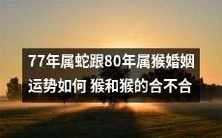 77年属蛇与80年属猴的婚姻运势研究:揭秘猴与猴之间的配对真相!