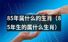 在中国传统文化中,85年出生的人属于哪个生肖呢?