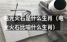 哪个生肖能被比作电光火石?