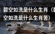 「碧空如洗」作为生肖是什么?