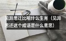 “见异思迁”意为改变主意或想法,那么,根据此义,哪个生肖最像“见异思迁”的人呢?
