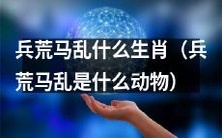 解谜:哪种生肖象征着兵荒马乱的场景?