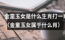 金童玉女是哪个生肖,可以打一肖呢?