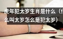 什么是虎年的太岁?为什么在该生肖年份里犯太岁会有影响?