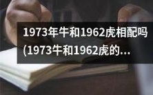1973年出生的牛和1962年出生的虎是否适合在一起建立情感关系?