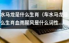 车水马龙是哪个生肖?血雨腥风属于哪种词性?