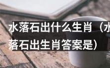 揭秘水落石出生肖,不容错过的生肖排行榜!