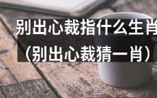 用自己独特的想法猜测哪个生肖