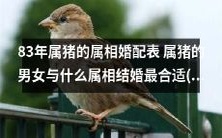 83年属猪男女婚配大揭秘:探究属猪男女与哪些属相配对最为理想,从属猪女的视角探讨最佳婚配属相