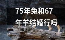 能否长久维持的婚姻关系?探讨“75年兔”与“67年羊”之间的婚姻羁绊
