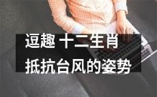 十二生肖的逗趣抵御台风策略,让你笑中带泪!