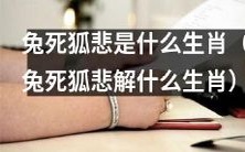 关于“兔死狐悲”的生肖解析:哪个生肖是兔死狐悲?