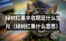 哪个生肖能享受绿树红果丰收期?