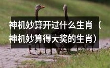 揭秘神机妙算大奖背后的幸运生肖名单