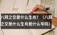 请问八拜之交对应的是哪个生肖,并对应着哪个具体的号码呢?