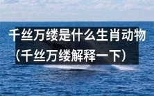 哪种生肖动物被形容为千丝万缕,究竟是什么?(解释"千丝万缕")