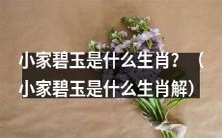 小家碧玉是哪一个生肖?