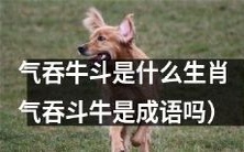 探究生肖“气吞牛斗”的真实身份:是否与成语“气吞斗牛”相关?