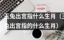 玉兔出宫是指哪个生肖?解读玉兔出宫与十二生肖的关系