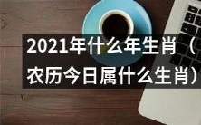 今天是2021年,你知道今天属于哪个生肖吗?