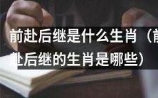 哪些属相的人属于前赴后继的特质?