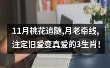 11月桃花追逐,月老牵线,注定让旧日恋人转化成真正情人的3个星座!