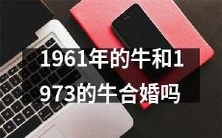 1961年出生的牛和1973年出生的牛是否有可能结合婚姻?