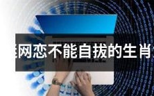 十二生肖女子因沉迷于网恋而难以自拔,引发家庭问题的现状分析